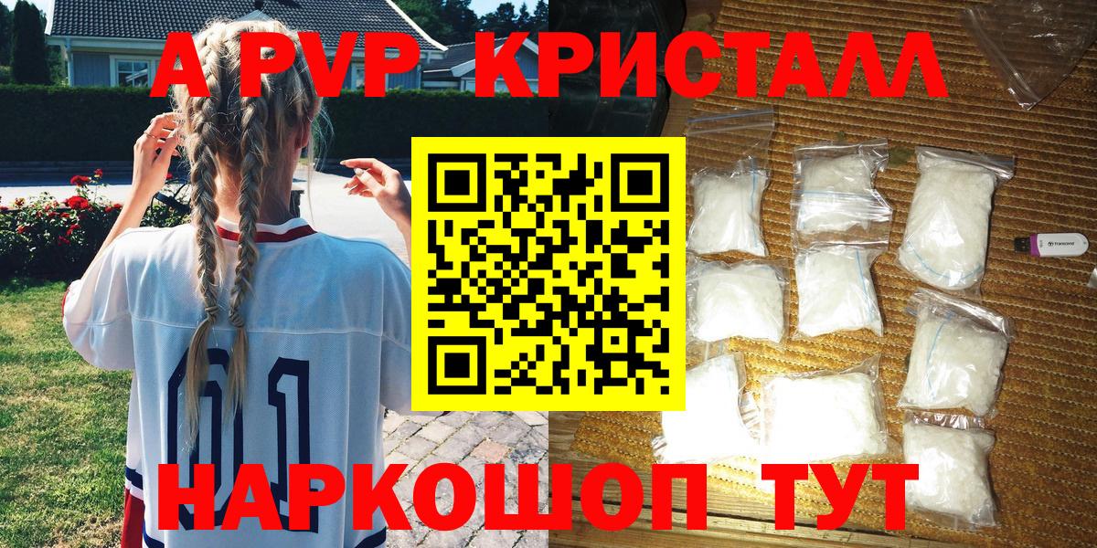 A PVP СК КРИС Обнинск