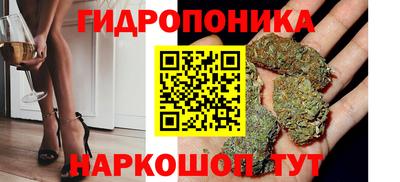 mdpv Славгород