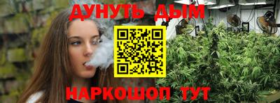 mdpv Славгород