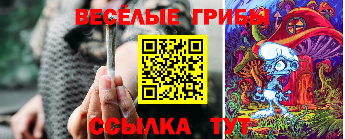Псилоцибиновые грибы мицелий Обнинск