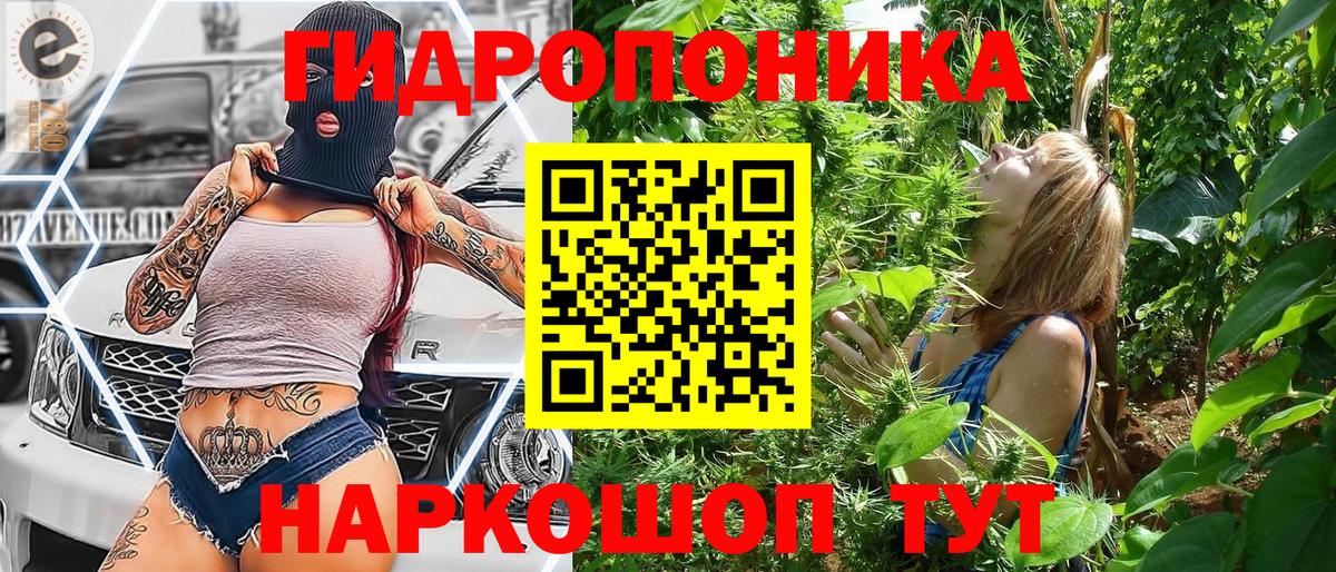 Марихуана гибрид Обнинск